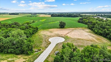 907 Christina Way, Waterloo, IL 62298 - photo 6