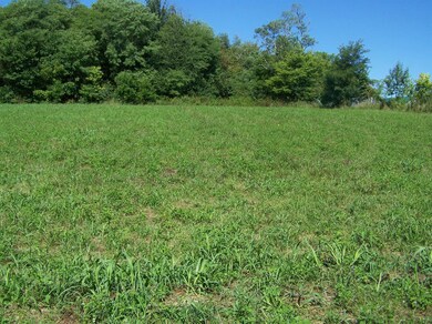 450 Jim Forsythe Ln, Harrodsburg, KY 40330 - photo 5