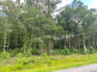 4998 Highway 472 unit Lot 8, Conway, SC 29526 - photo 2