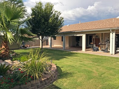 3 - Backyard
