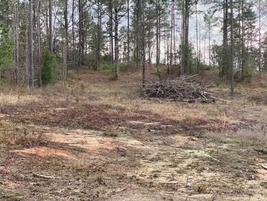 1915 Cr 620, Nacogdoches, TX 75964 - photo 4