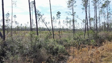 Lot 49 Circle Block Loop, Perry, FL 32348 - photo 6