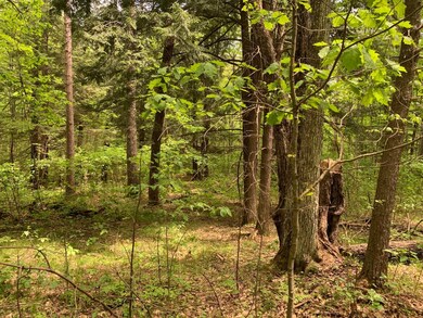 Lot 4 Somo Ridge Dr, Tomahawk, WI 54487 - photo 4