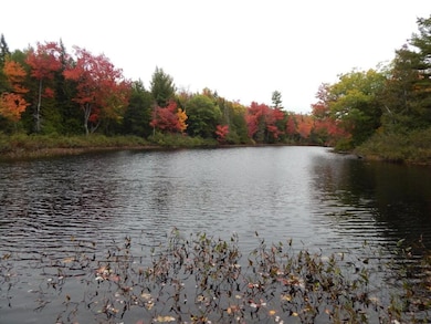Sherwood Pond - south frontage