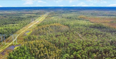 0 Dill Rd unit MFRO6300310, Orlando, FL 32820 - photo 2