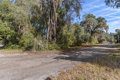 4351 N Mate Ln, Hernando, FL 34442 - photo 4