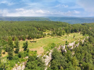 2850 River Bluffs Dr, Jasper, TN 37347 - photo 3