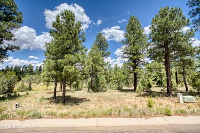 240 Summerberry Dr unit 24, Show Low, AZ 85901 - photo 2