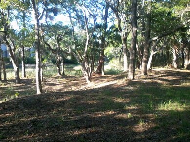 3 Lot cleared & surveyed.jpg
