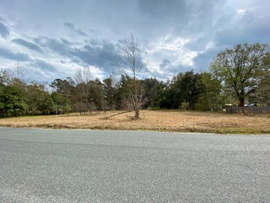 56370 Nassau Oaks Dr, Callahan, FL 32011 - photo 3