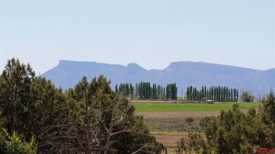 0 Road 22 unit 745720, Cortez, CO 81321 - photo 2