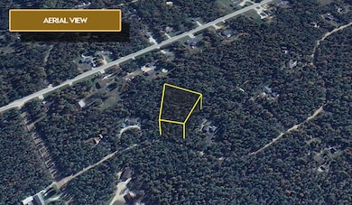 0 Beaver Creek Trail unit 25791041, South Branch Township, MI 48653 - photo 4