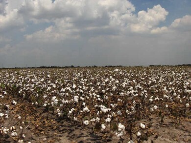 0 Anton Stade Rd, Rosenberg, TX 77471 - photo 3