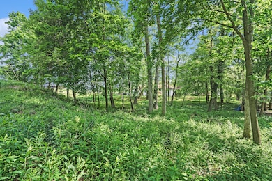 47102 Cedar Ave, Grand Beach, MI 49117 - photo 2