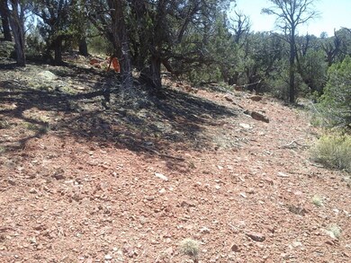 Lot 222a Juniperwood Ranch Unit 2, Ash Fork, AZ 86320 - photo 4