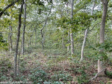 139 Vineyard Meadow Farms Rd, West Tisbury, MA 02575 - photo 2