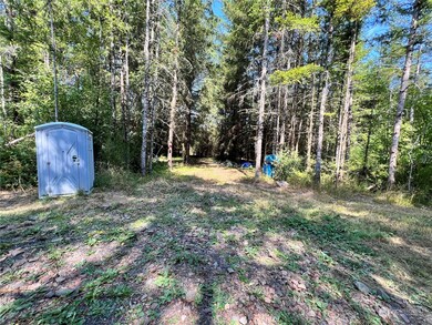 241 Bremgartner Rd, Winlock, WA 98596 - photo 6