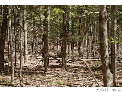 Land/Lot