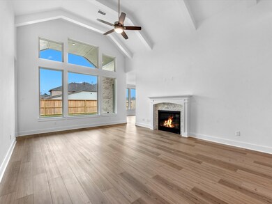 25014 Stella Falls Ln, Tomball, TX 77375 - photo 5