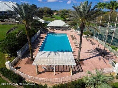 9120 Players Dr, Weeki Wachee, FL 34613 - photo 5