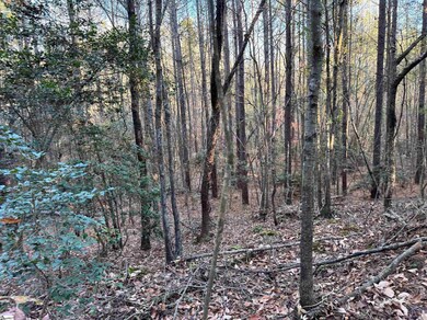 0 Eastview Rd, Pelzer, SC 29669 - photo 7