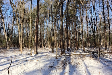 577 Schodack Landing Rd, Schodack Landing, NY 12156 - photo 7