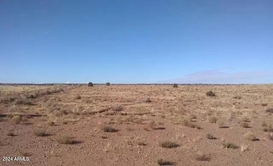 123_1 (7)