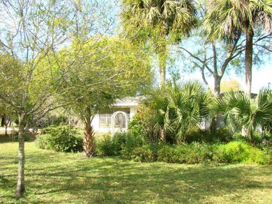 Butterfly Garden