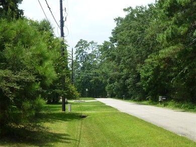 10103 Seneca Trail, Magnolia, TX 77354 - photo 4