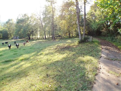 The cows are no longer on the property.