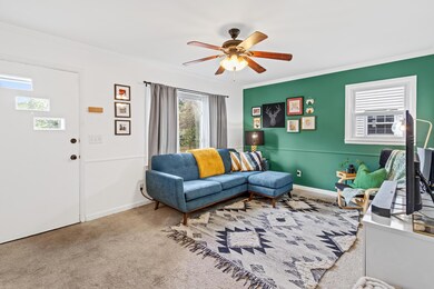 171 South Ashburton Road-7.jpg-FULL