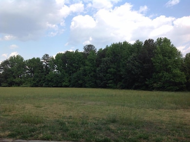 0 Old Farm Rd, Roanoke Rapids, NC 27870 - photo 3