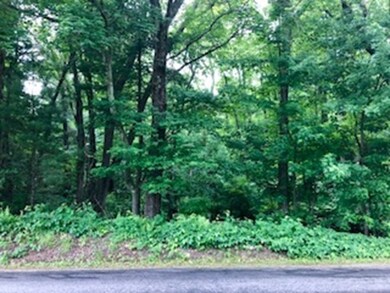 87 S Spencer Rd, Spencer, MA 01562 - photo 5