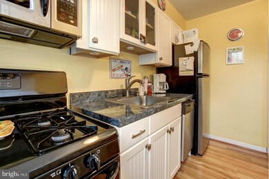6626 Potomac Ave unit B1, Alexandria, VA 22307 - photo 6