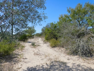 653 S U S Hwy 59, Georgewest, TX 78022 - photo 5