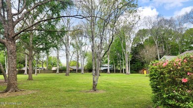 305 Creek Bend Rd, Natchez, MS 39120 - photo 7