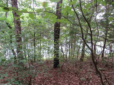 73 Brighton Pointe Ln, Heber Springs, AR 72543 - photo 5