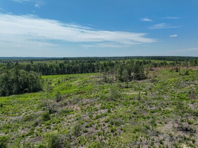 0 Long Branch Rd unit 25649021, Toomsboro, GA 31090 - photo 7