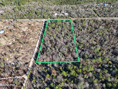 000 NW Apachee Rd, Fountain, FL 32438 - photo 6