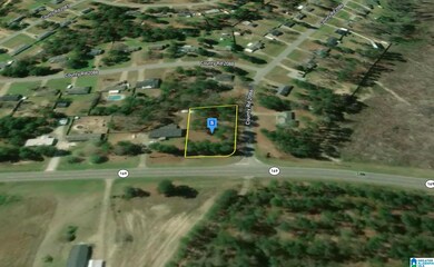 12755 Highway 169, Salem, AL 36874 - photo 5