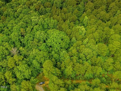 0 Alston Chapel Rd unit 10002080, Pittsboro, NC 27312 - photo 7