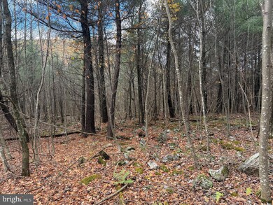 Lot#25 Brooke Trout Dr, Wardensville, WV 26851 - photo 6