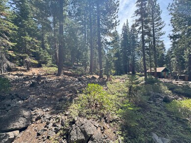 5255 N Lake Blvd, Carnelian Bay, CA 96140 - photo 5