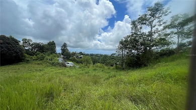 908 st Barrio Tejas, Yabucoa, PR 00767 - photo 5