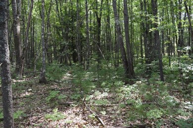 289 Wire Rd, Wells, ME 04090 - photo 2