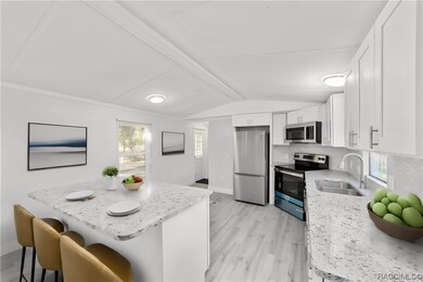 4149 E Fort Apache Place, Dunnellon, FL 34434 - photo 7