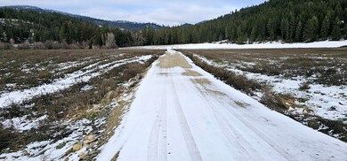 1707 Hwy 395 S, Chewelah, WA 99109 - photo 2