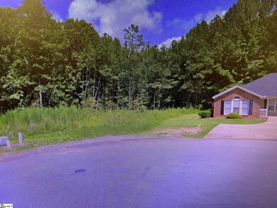 00 Ashley Ln, Laurens, SC 29360 - photo 7