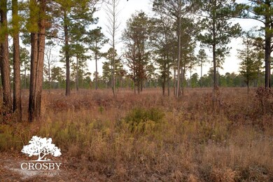 0 Reverend Jw Carter Rd, Manning, SC 29102 - photo 5