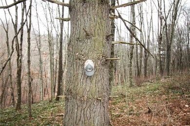 0 Township Highway 539, Loudonville, OH 44842 - photo 4